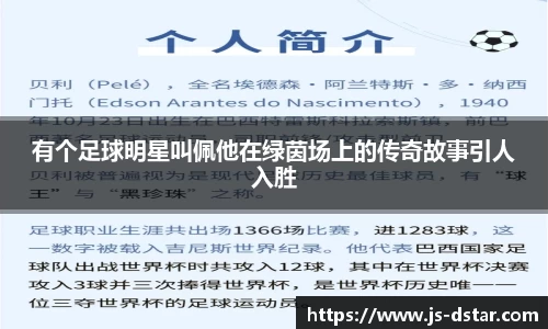 有个足球明星叫佩他在绿茵场上的传奇故事引人入胜